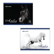 Альбом для рисования, А4, 40 листов, скоба, обложка картон, BRAUBERG, 200х283 мм, “Благородные кони“ (2 вида), фото