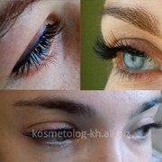 Наращивание ресниц пореснично и 3D фото