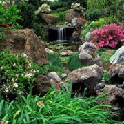 Устройство водопадов в саду фотография