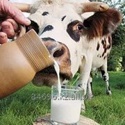 Натуральное молоко 3,2% 0,9л фото