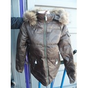 Куртка женская (зима) (мин. заказ: 5 шт.)