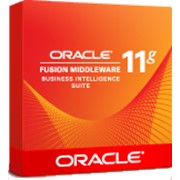 Oracle Business Intelligence Standard Edition One Software Update License & Support (Oracle Corporation) фотография