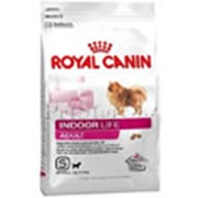 Корм для собак Royal Canin Indoor Life Adult Small Dog фото