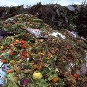 Утилизация пищевых отходов, неликвидов продуктов питания