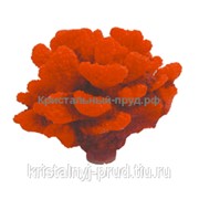 Грот “Коралл красный, жесткий“ (12.5*12*10.5) (YM-1103B) Yuming фотография