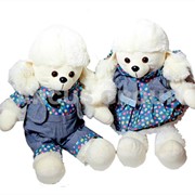 Пудель он/она фото