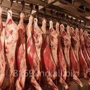 Свинина в ассортименте в Молдове фото