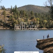 Рыбный промысел Каховское водохранилище , р. Днепр фото