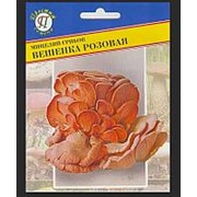 Мицелий грибов Вешенка розовая, 12 шт фотография