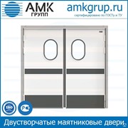 Двустворчатые маятниковые двери, RAL 9003, 2000х1900 фото