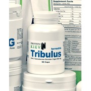 Трибулус 650 мг 90 капсул (90% Saponins) Proteininkiev