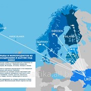 Импорт рыбы и морепродуктов из стран Скандинавии и Балтии под заказ фото