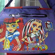 Школьные сумки серии Nemo 2 №010246 код 4128 фотография
