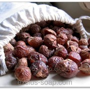 Мыльные орехи-Mukorossi! фото