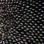 Валькирия, гибридные семена фото