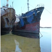 Рыболовное судно «Аврора №1» фото