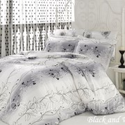Комплект постельного белья Mariposa Satin Deluxe Black and white евро фотография