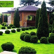 Ландшафтный дизайн фото