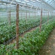 Сетка пластиковая шпалерная для огурцов и др. вьющихся растений