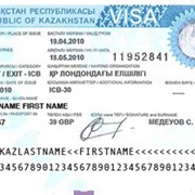 Деловая виза в Казахстан