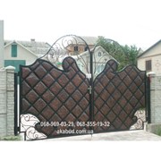 Ворота металлические P32 фото