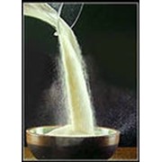 Молоко сухое, Сухое обезжиренное молоко 1,5% жирности фотография