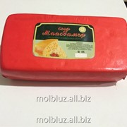 Маасдамер фото