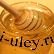 Мёд, липа+донник (3 литра) фото