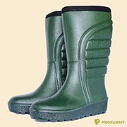 Сапоги POLYVER Winter зеленые фото
