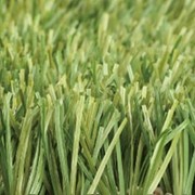 Газон травяной искусственный Stemgrass фото