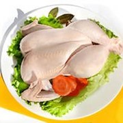 Шашлык аппетитный из мяса цыплят бройлеров фото