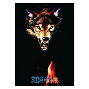 Наклейка портрет животных цветной “Волк бегущий с оскалом“ (430х330) (уп. 1шт.) A-STICKER фото