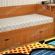 Кровать подростковая Гратис 1970х800х850мм фотография