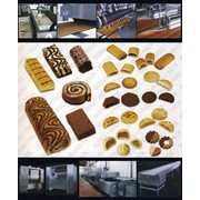 Промышленные линии “под ключ“ для производства коэкструдированного печенья и бисквитных изделий фото