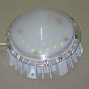 Светодиодный светильник для ЖКХ “Селена“ фото