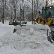 Услуги по вывозе и уборке снега фото