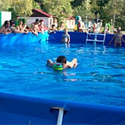 «Дельфин-2» - бассейн, сауна, тренажерный зал фото