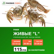 Раки живые L (60-80 гр) фото