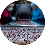 ТОПФУД предлагает качественные услуги! фото