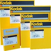 Рентгеновская пленка для общей рентгенологии синечувствительная Kodak 18х24 (4,32 м²) фото