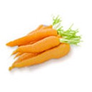 Морковь сорт Шантанэ Рояль Королевская, Морковь фотография