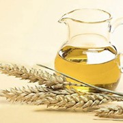 Масло зародышей пшеницы фото