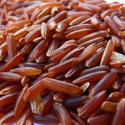 Рис Красный, 500 гр фото