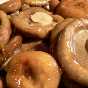 Закупаем грибы маринованные оптом не фасованные фото