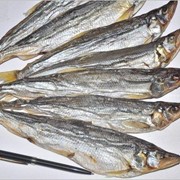 Рыба сушено-вяленая фото