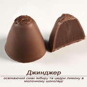 Конфеты шоколадные Джинджер ручной работы фото