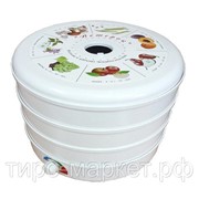 Сушилка электрическая для овощей и фруктов Ветерок ЭСОФ-0,5/220 фотография