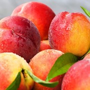 Персики сорта “Нектарин“ фотография