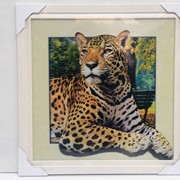 5D картина “Леопард“ 40 х 40 см фотография