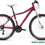 Стоимость велосипедов, Кишинев фото